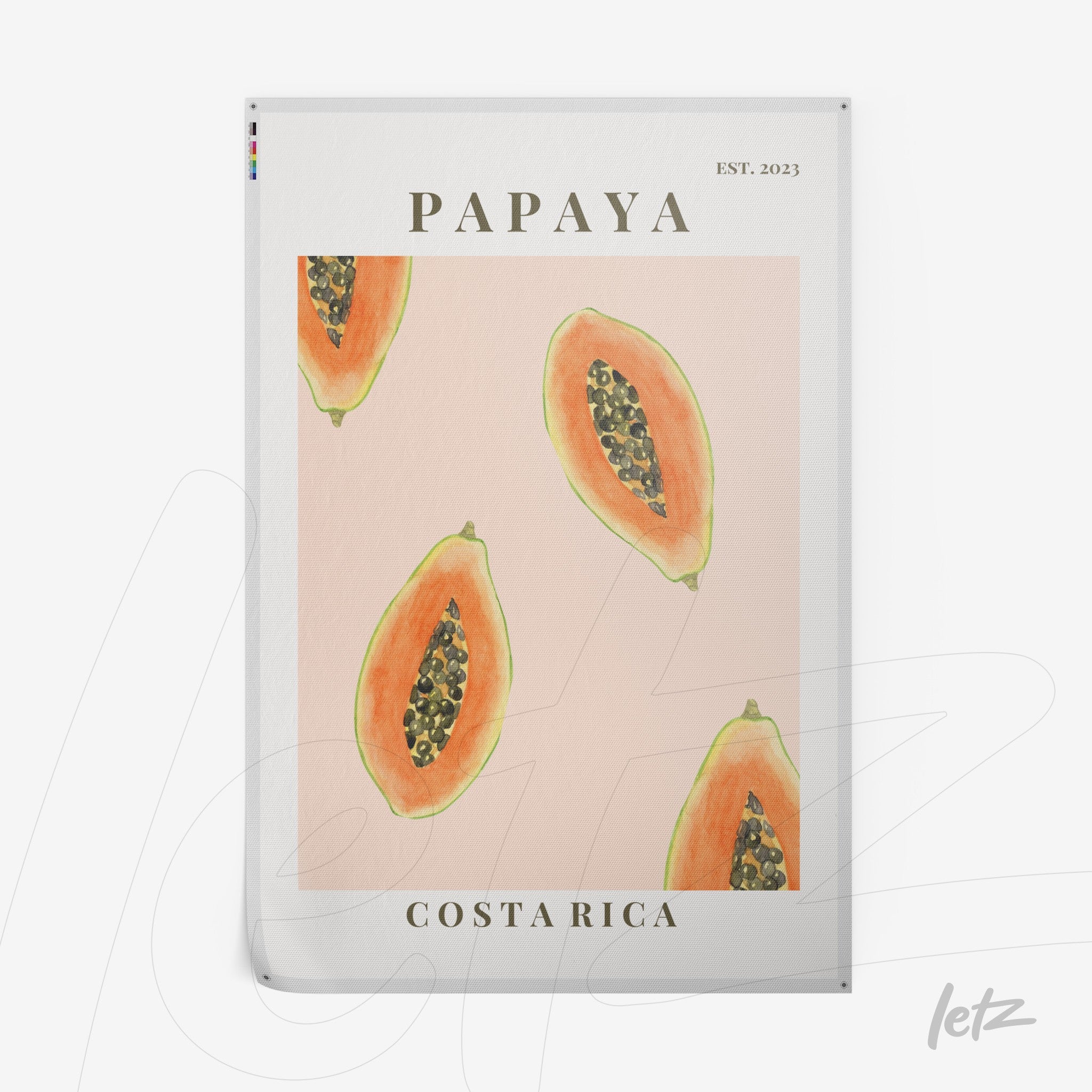 framed artwork featuring illustrations of papayas on a pink background with black text Costa Rica