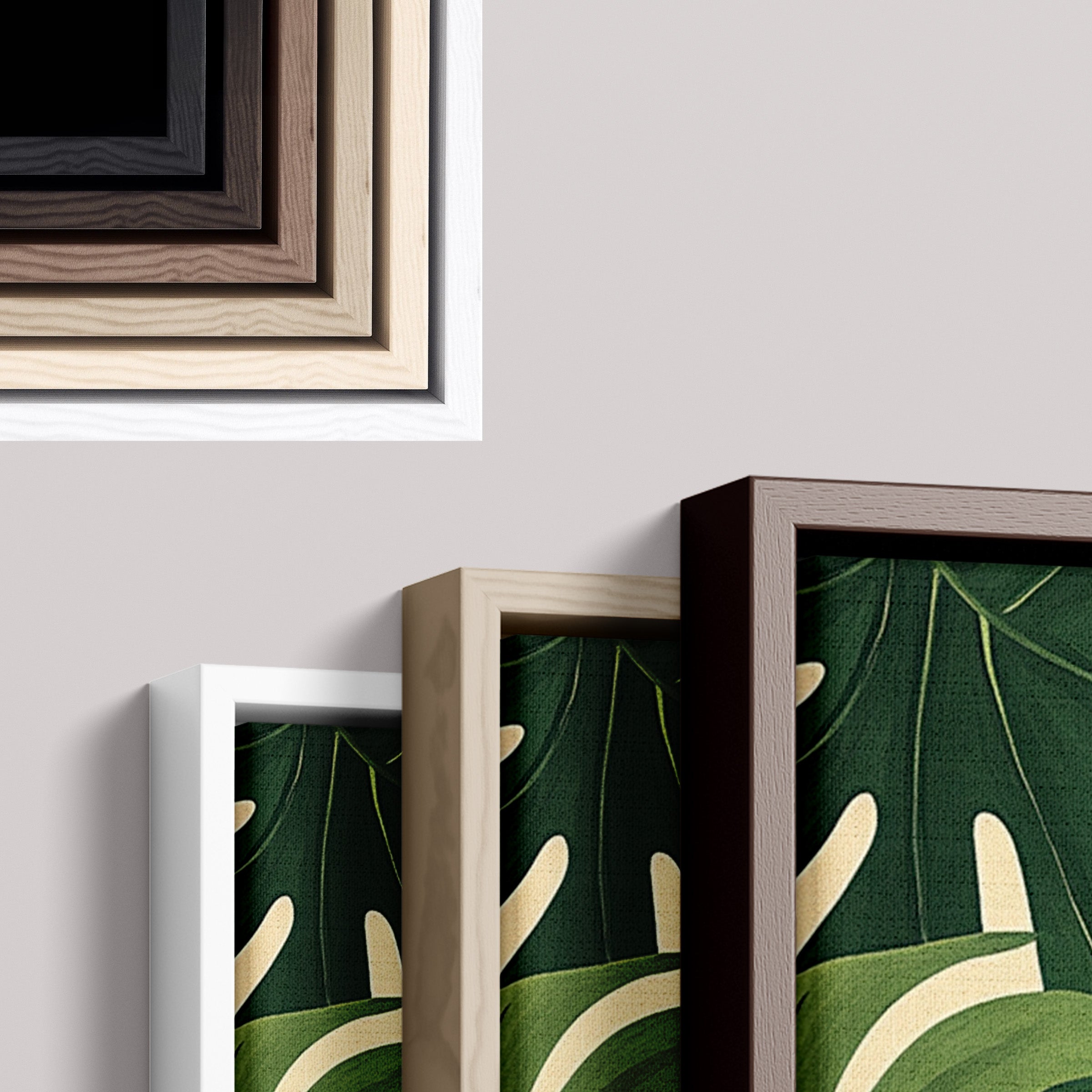 Monstera